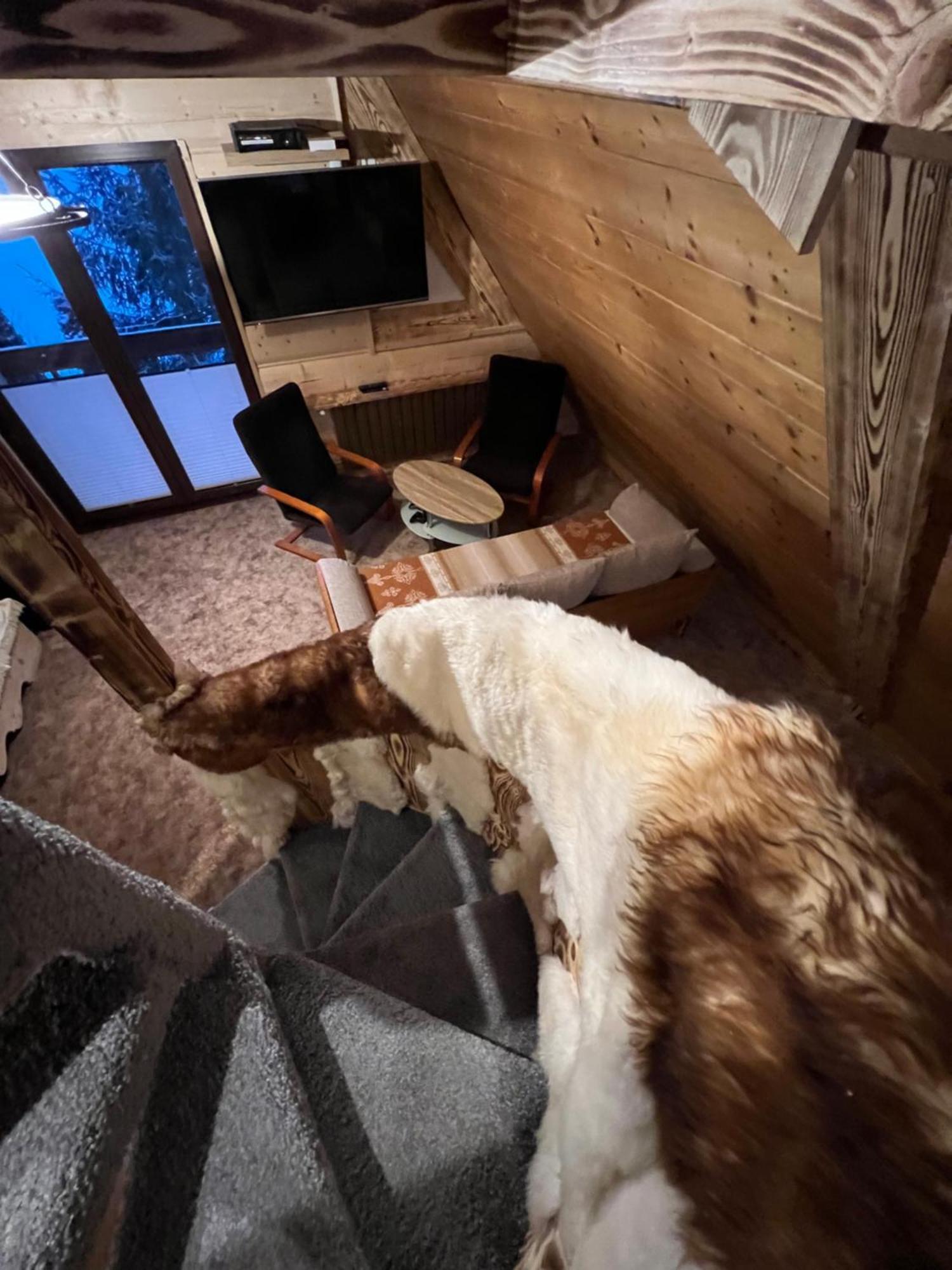 Apartamenty I Domki Taterka Kościelisko Extérieur photo